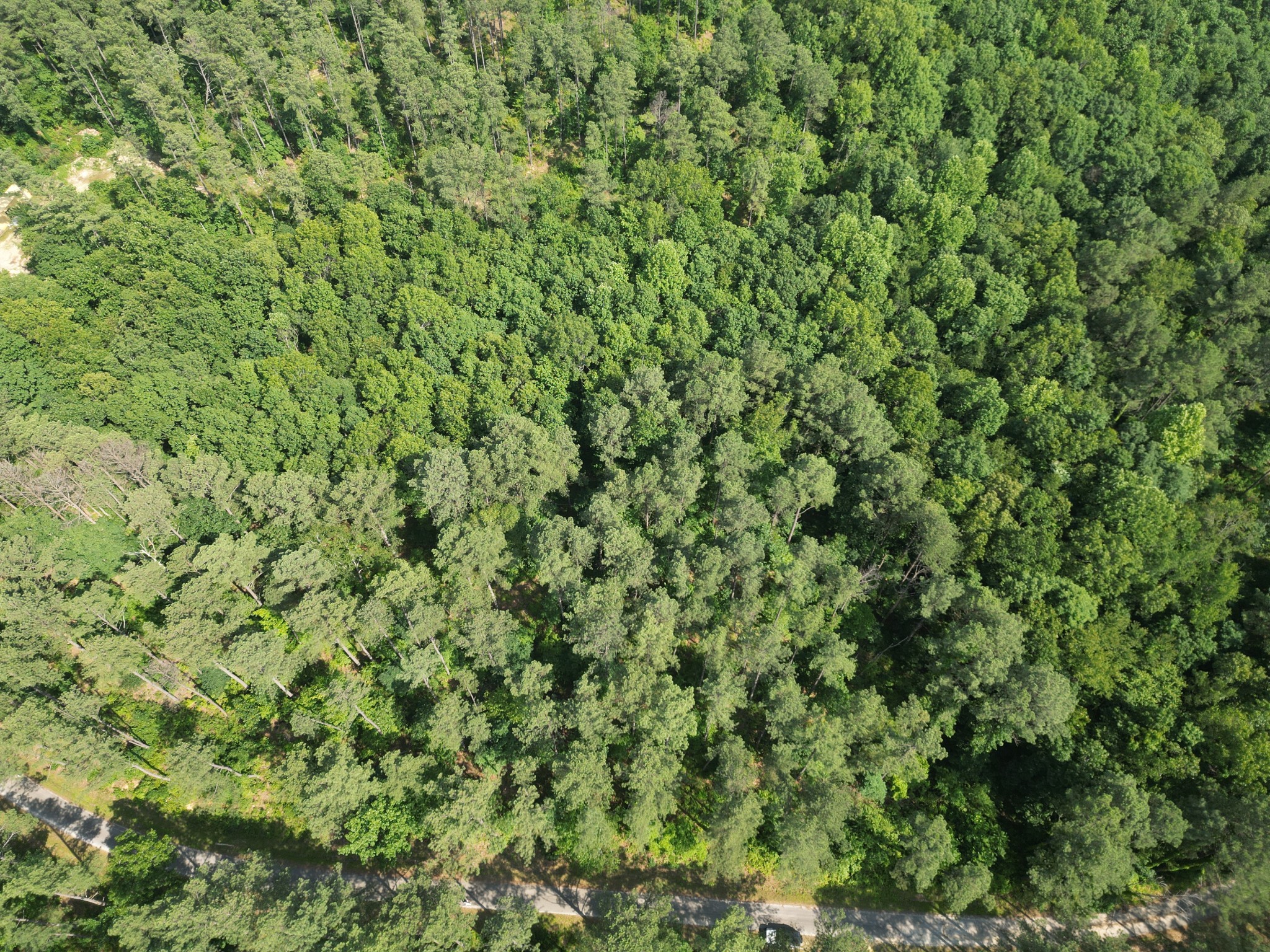 5 Carter Hollow Rd