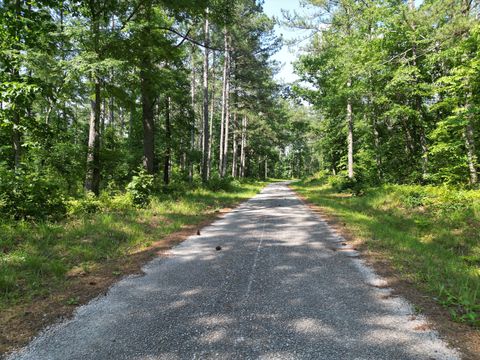 5 Carter Hollow Rd Linden TN 37096