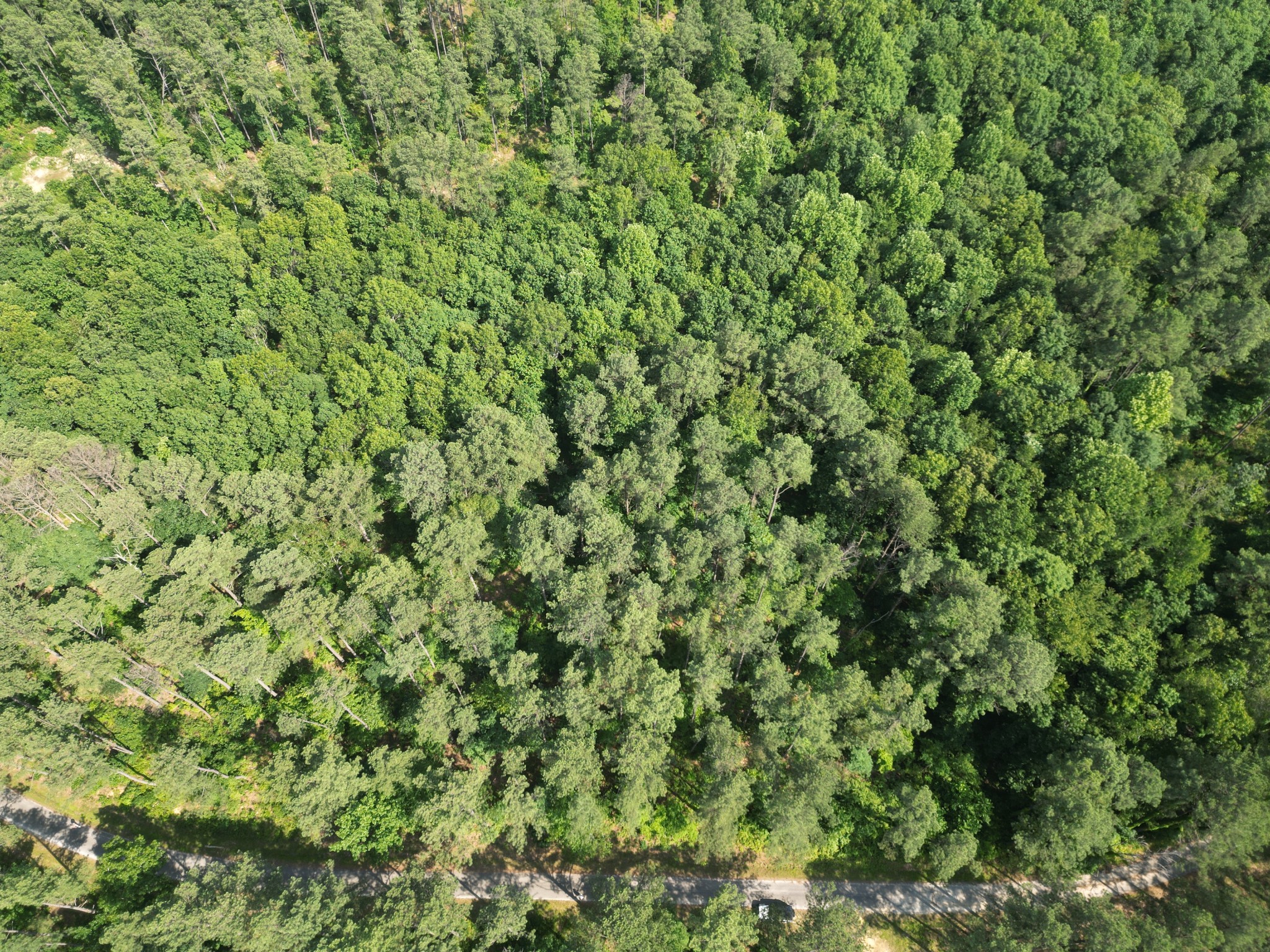 5 Carter Hollow Rd