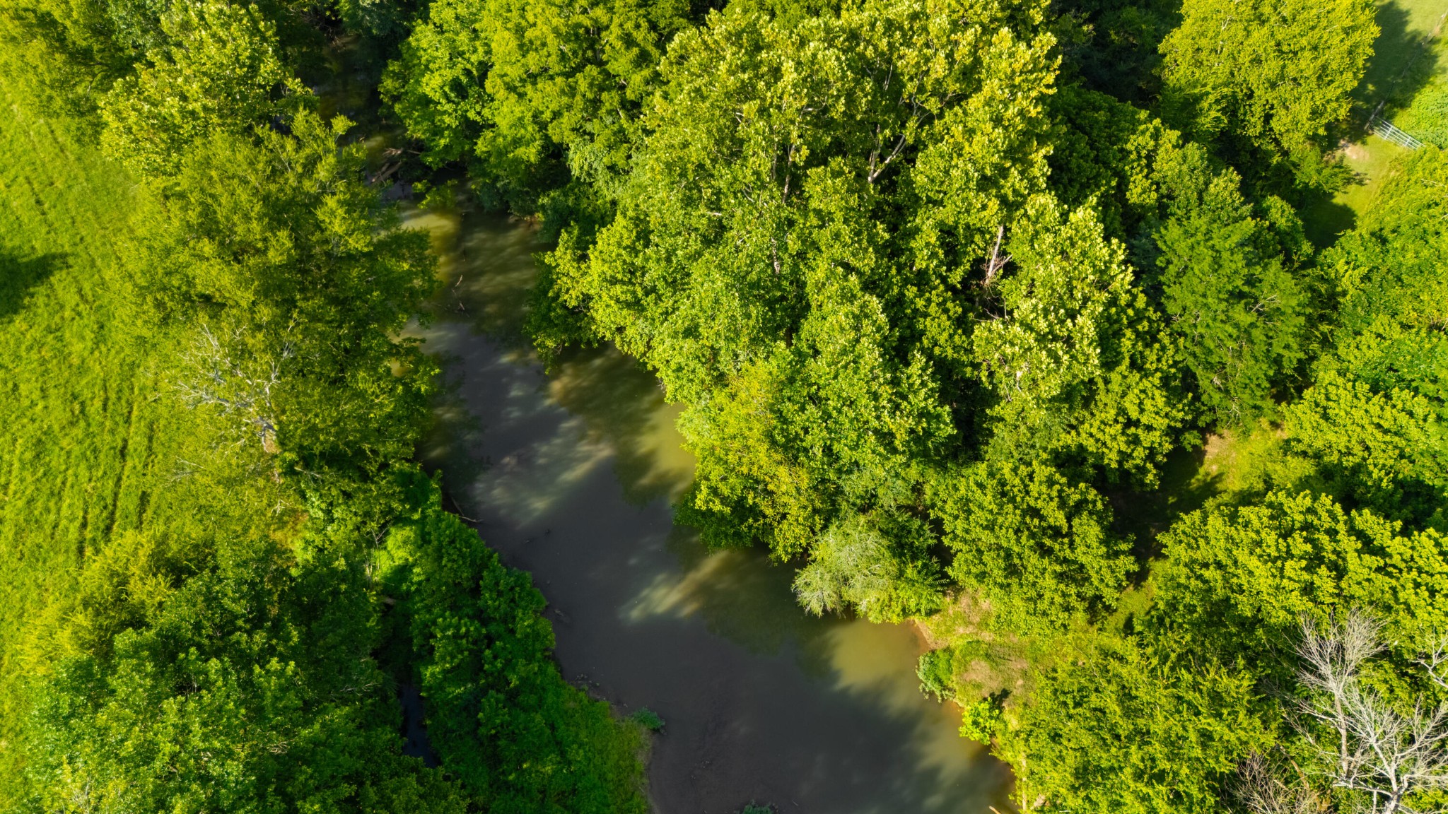 406 Haven Creek Lane
