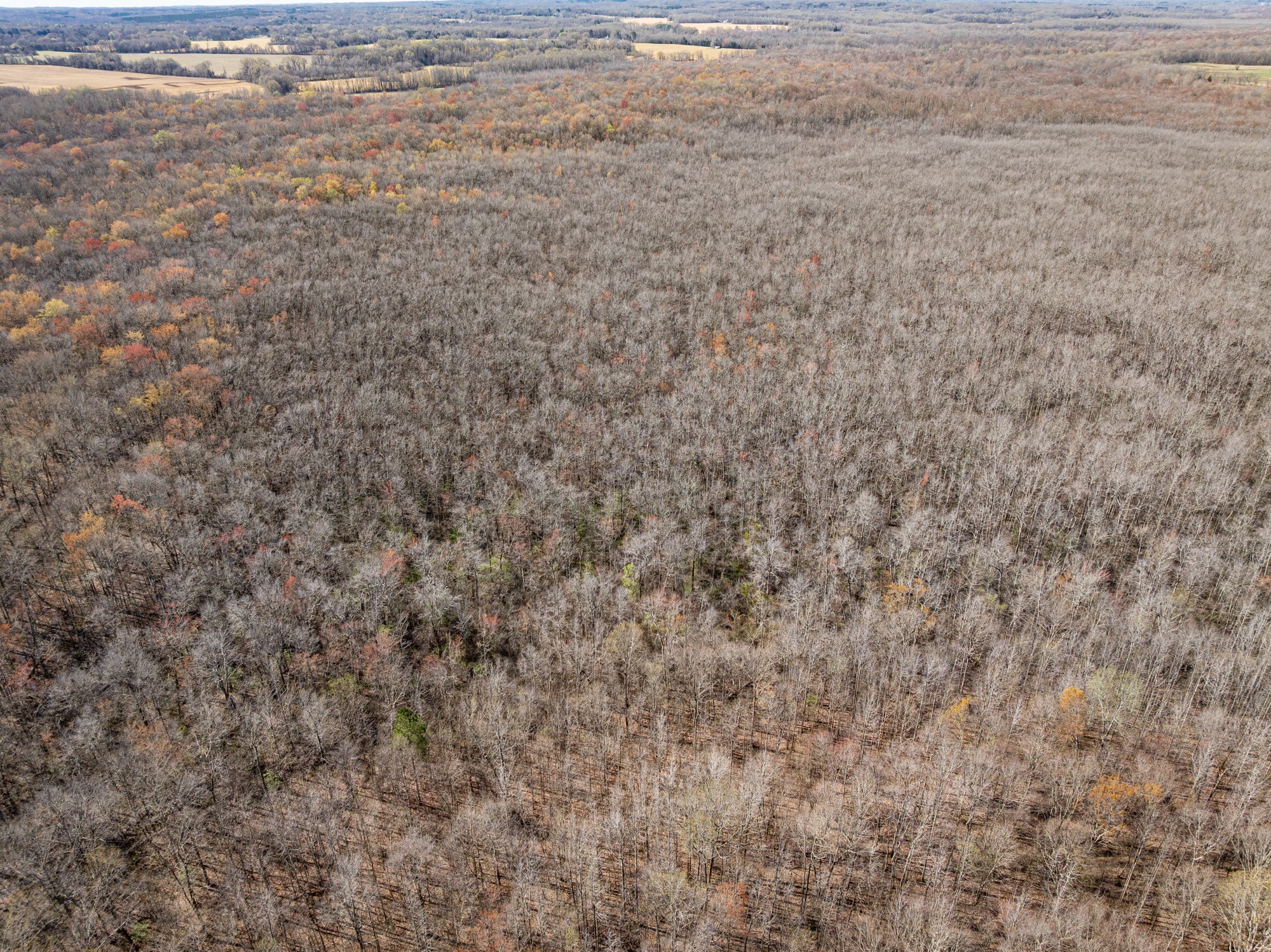 4401 Spring Creek Road