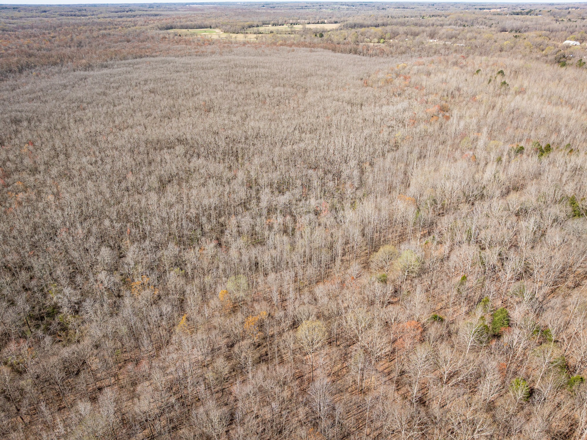 4401 Spring Creek Road