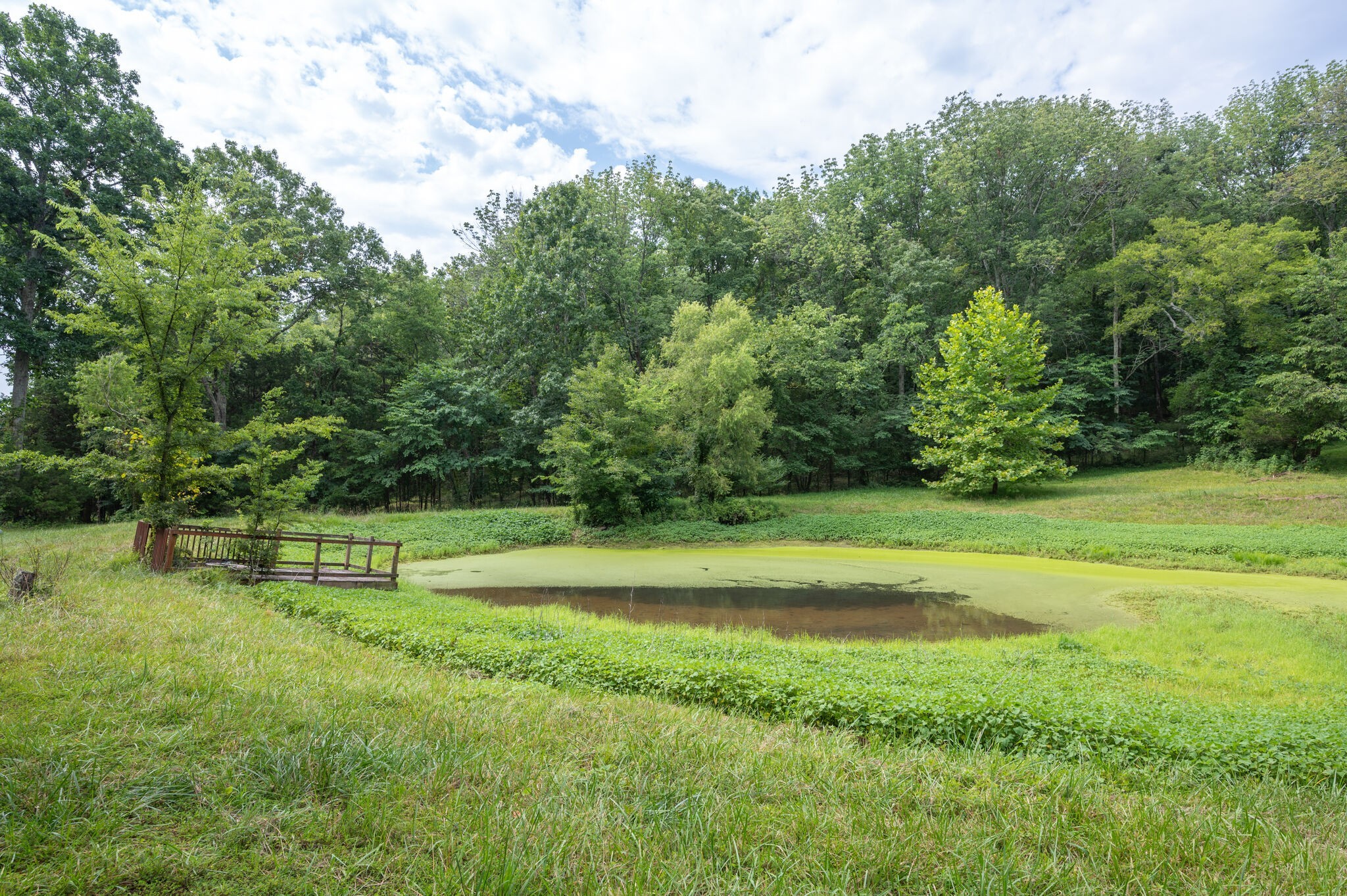 10515 Paw Paw Springs Rd
