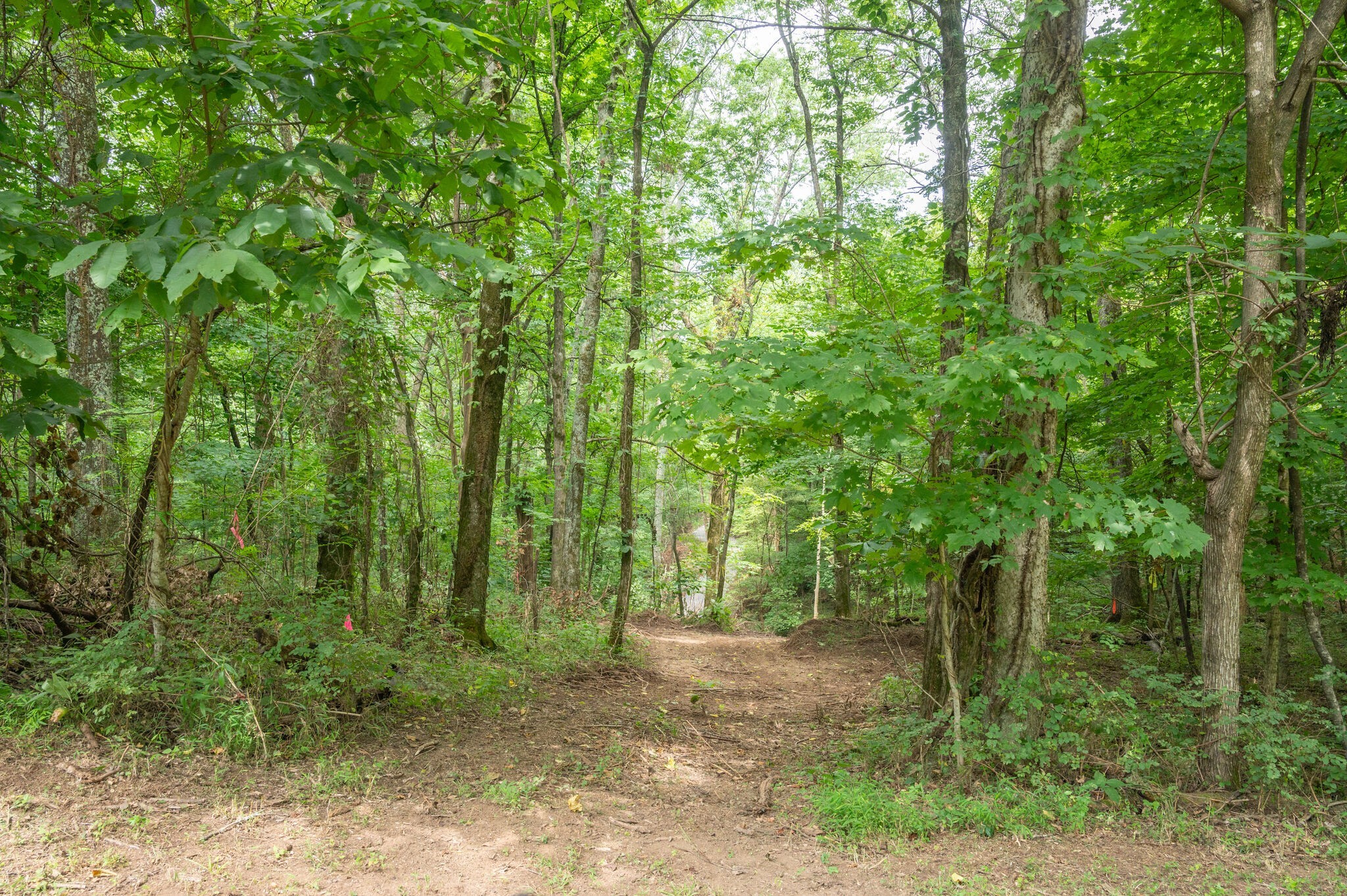 10515 Paw Paw Springs Rd