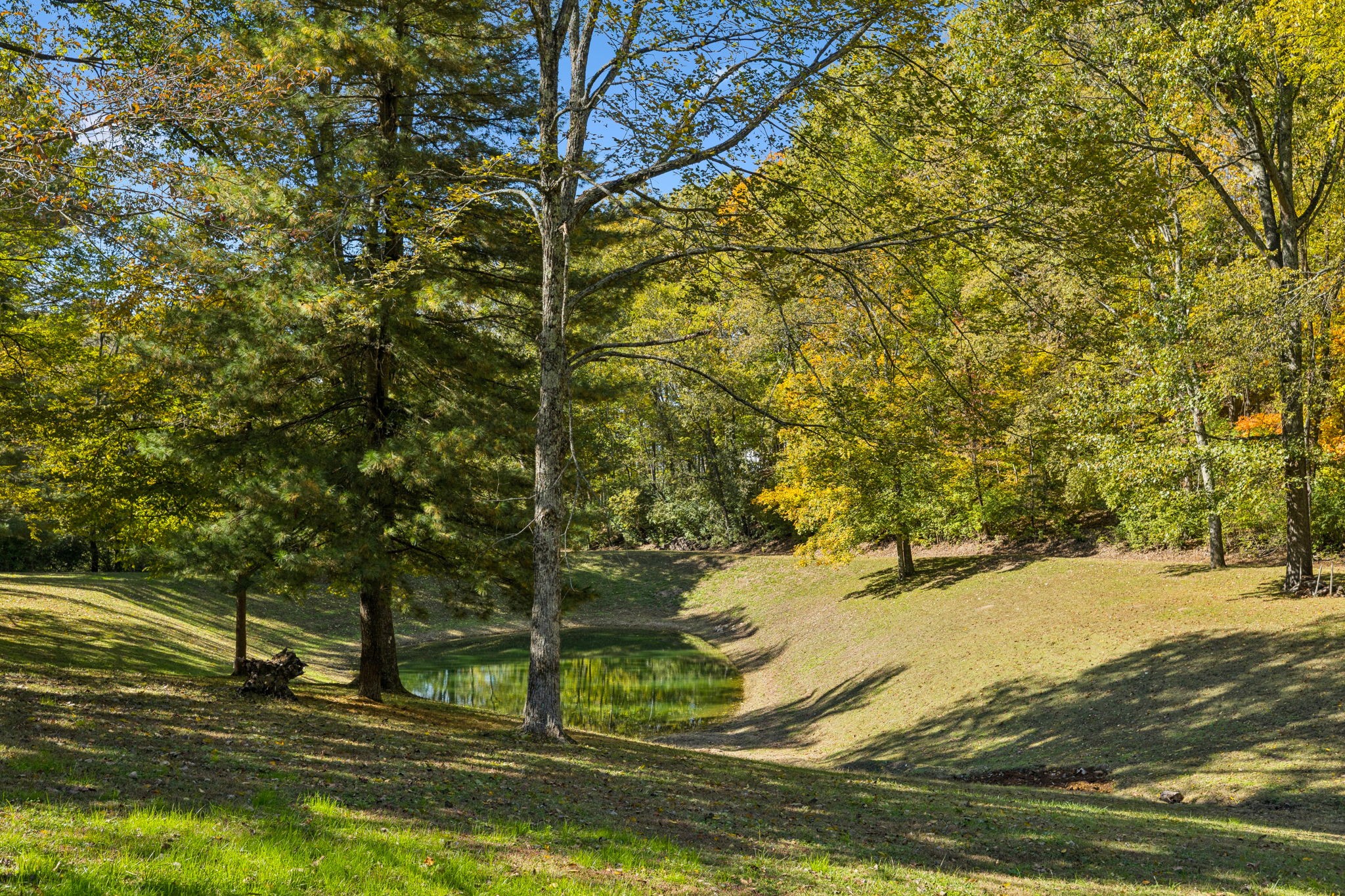 1125 Beechs Tavern Trail