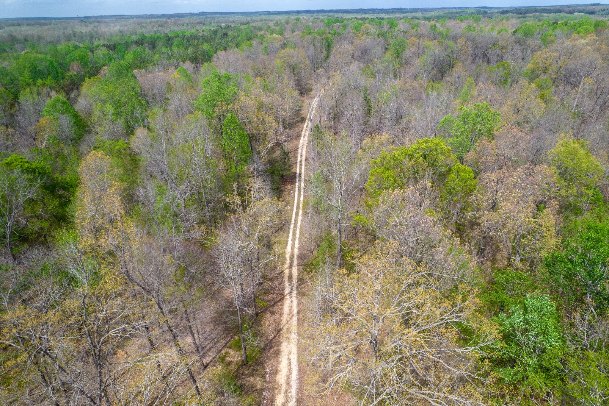 735 Beaver Canal Ln