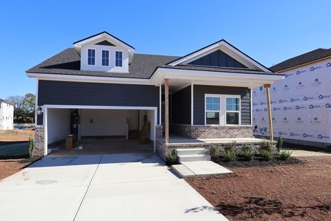 Photo of 1721 Sharpstone Drive, Columbia, TN 38401 (MLS # 3061315)