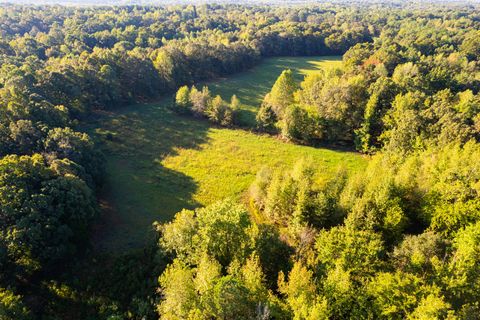 424 Tennessee Highway Cedar Grove TN 38321