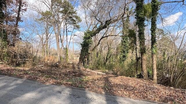 3977 Blanchard Street - Photo 2