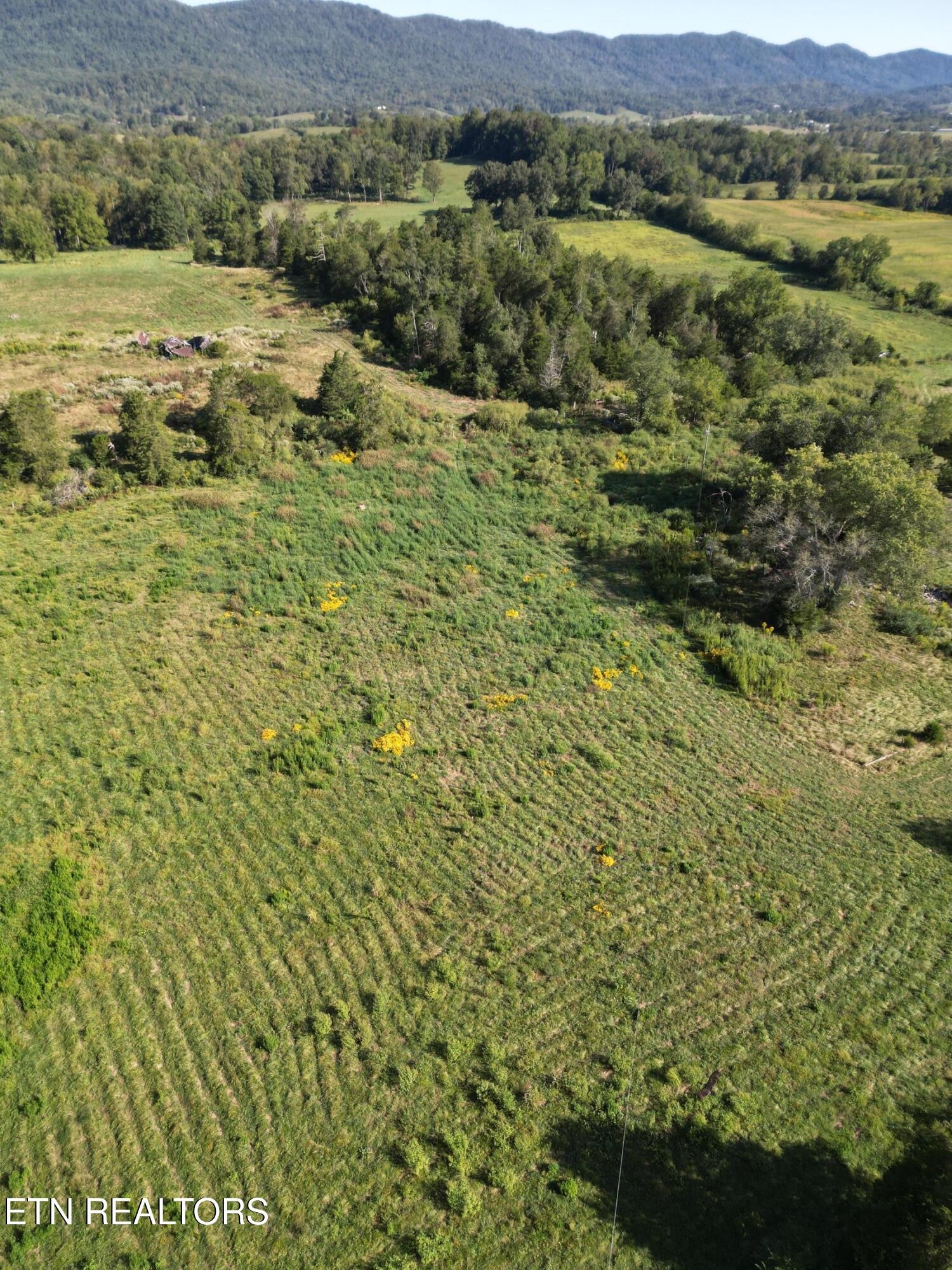 317 Singleton Hollow Rd