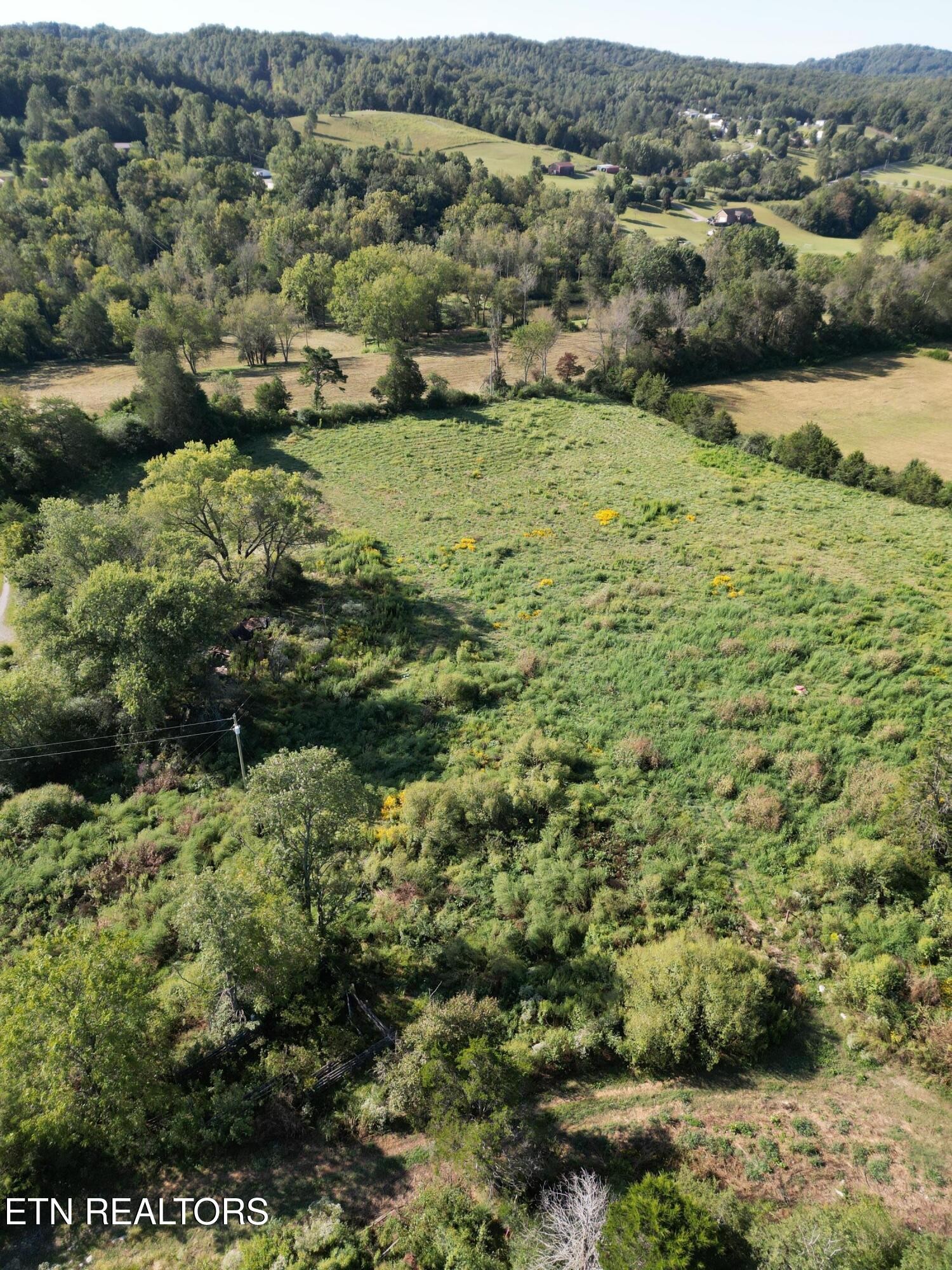 317 Singleton Hollow Rd