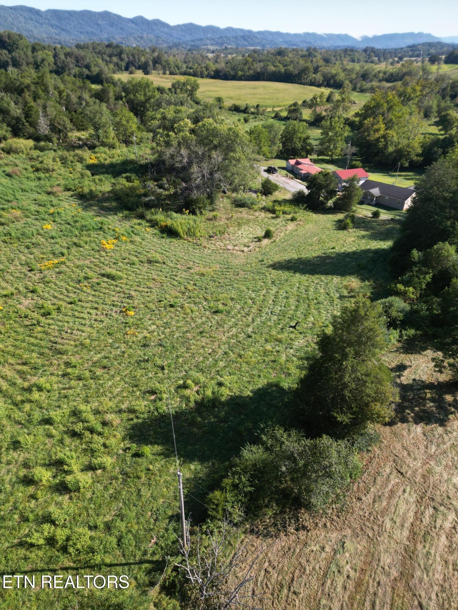 317 Singleton Hollow Rd