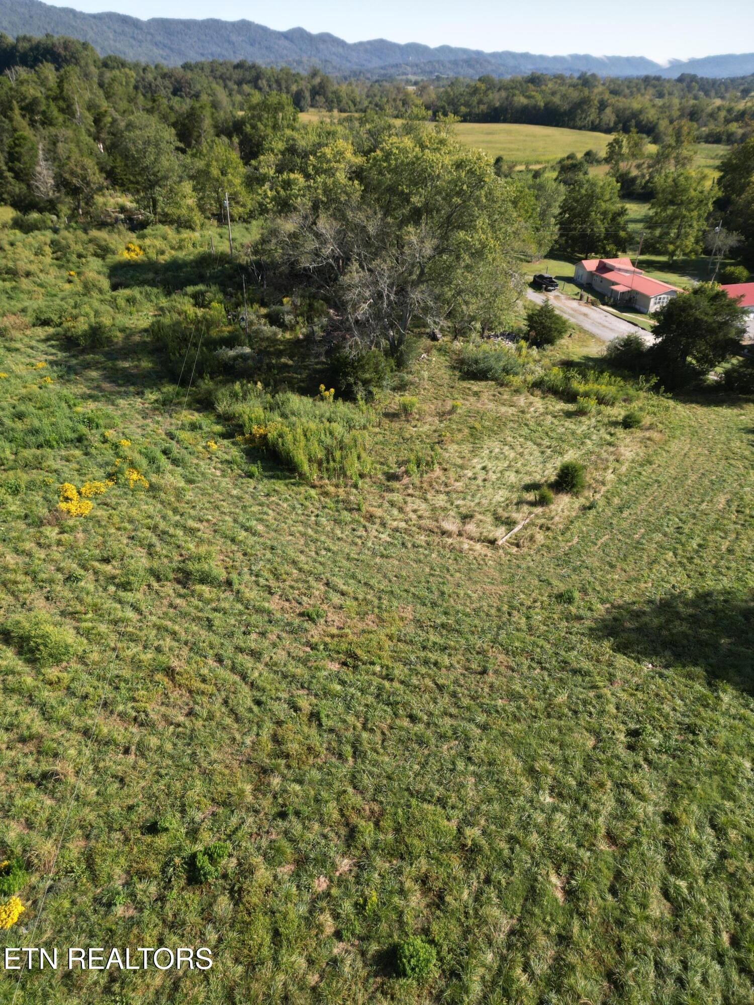 317 Singleton Hollow Rd