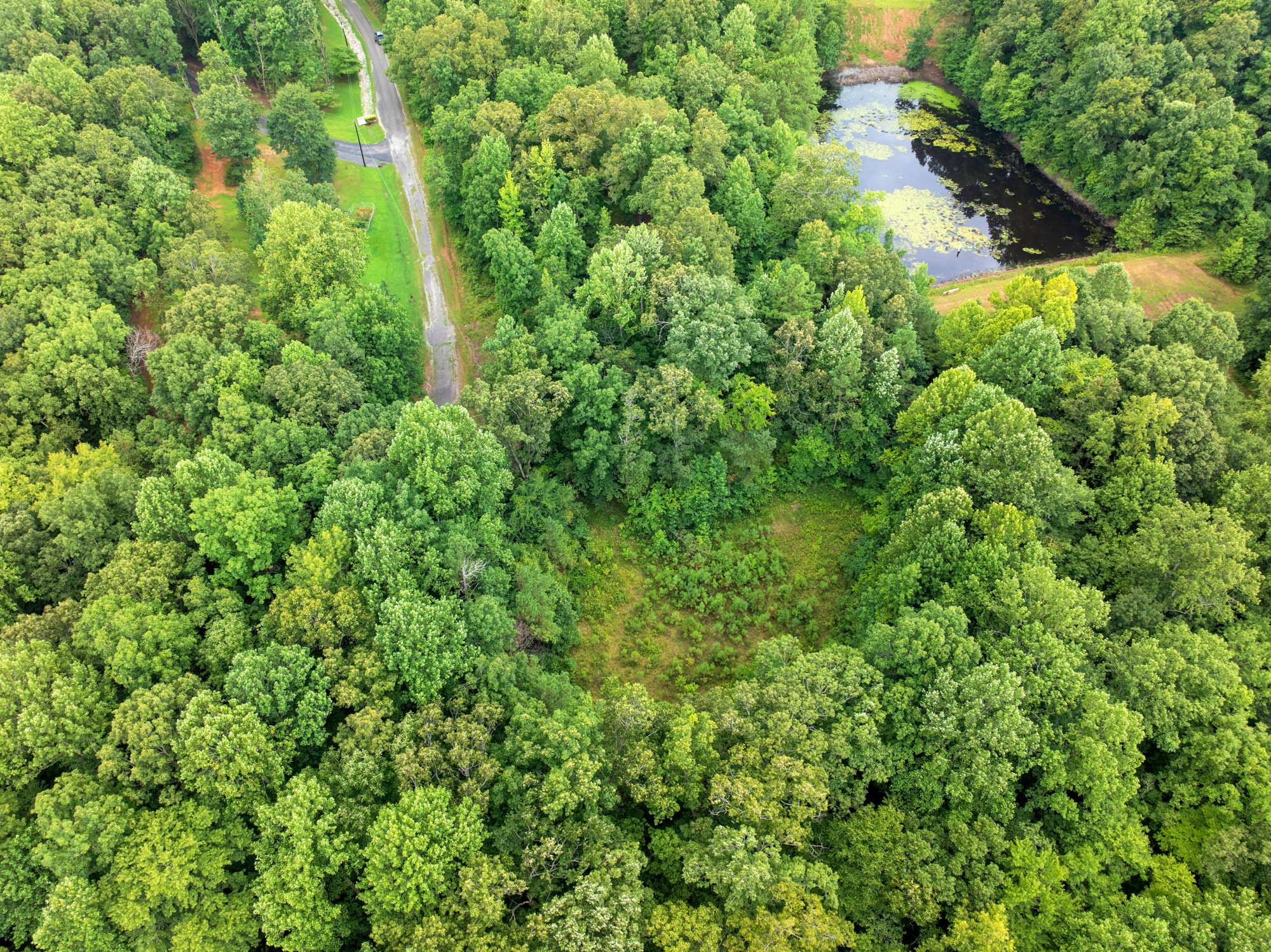 255 Jason Hollow Road