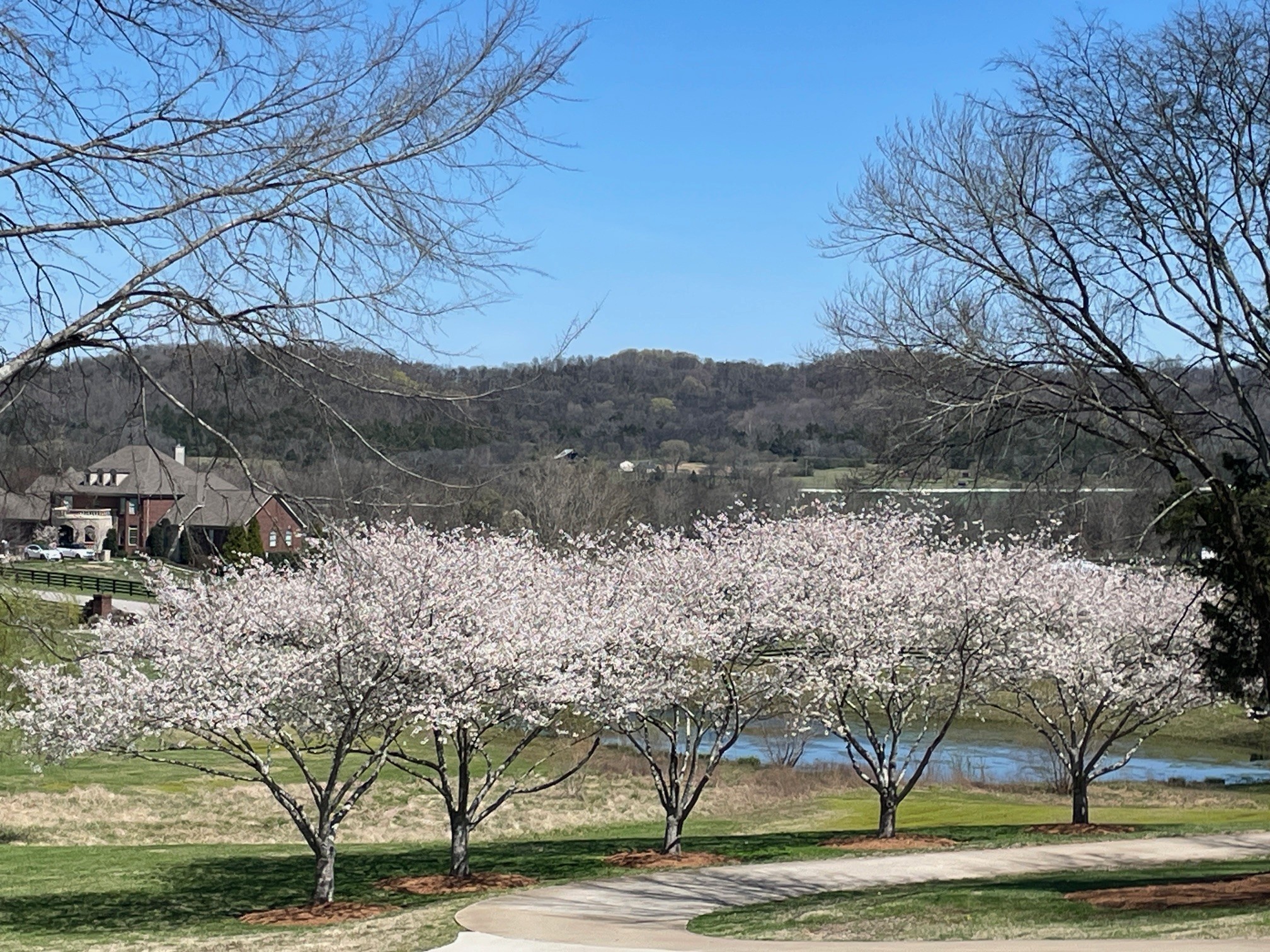 3235 Kinnard Springs Rd