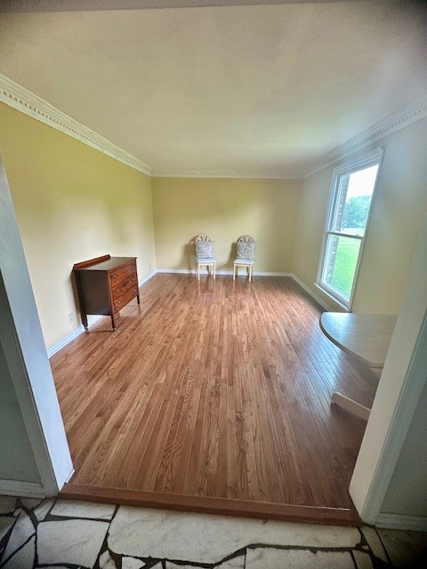303 Revere Ln
