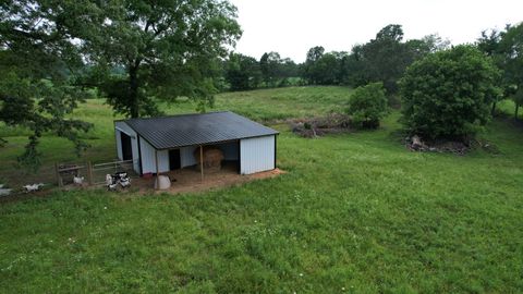 521 Revilo Rd Leoma TN 38468