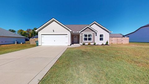 3092 Sofia Ln Springfield TN 37172