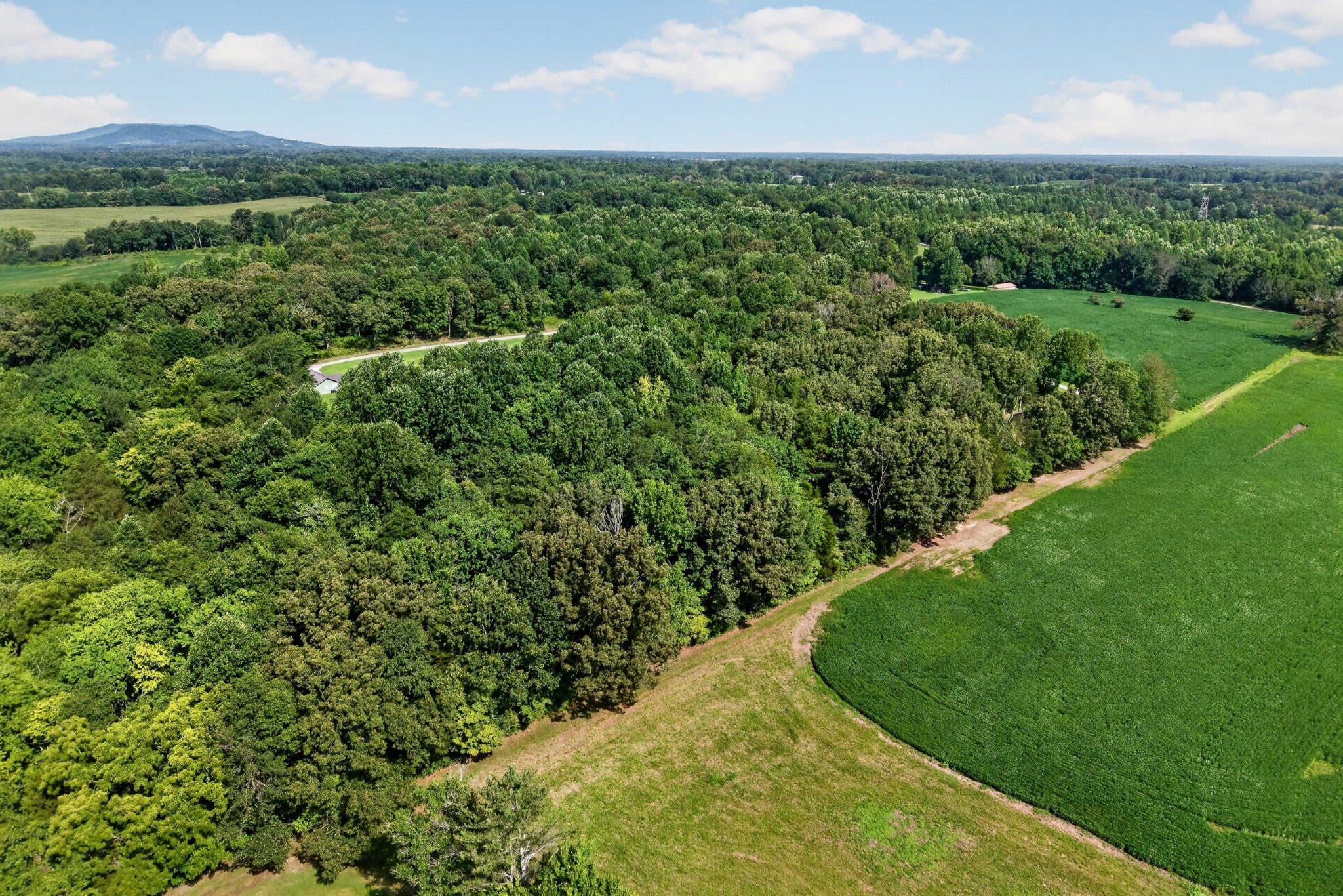 259 Jim Warren Rd