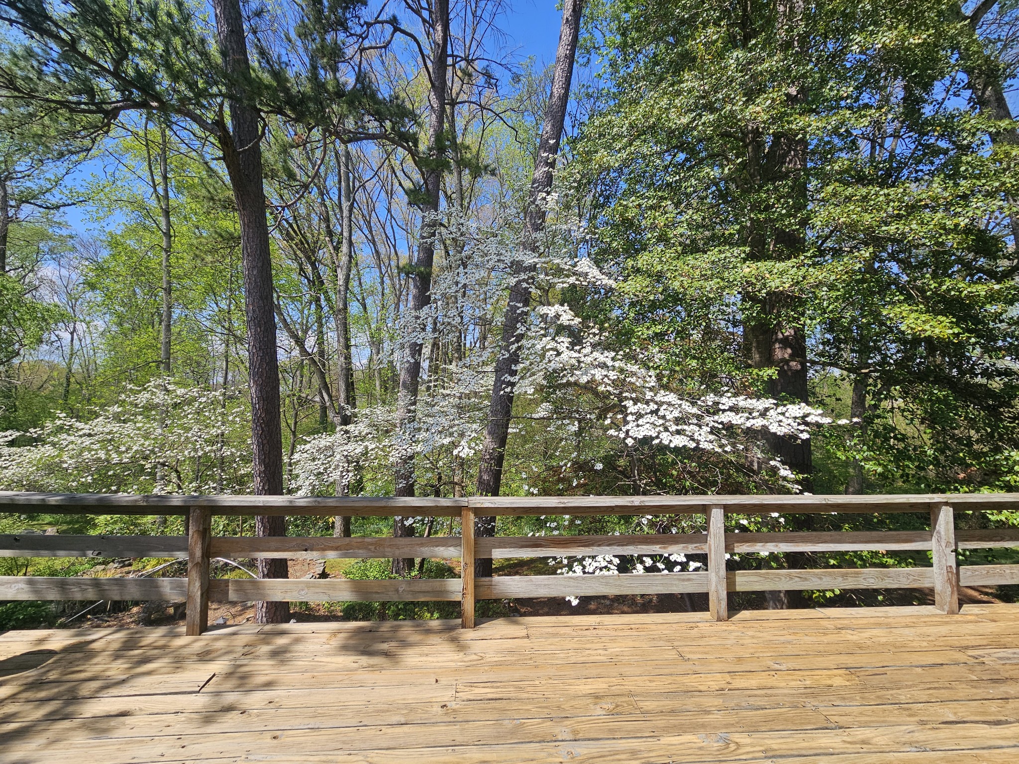 144 Wood Bluff Rd