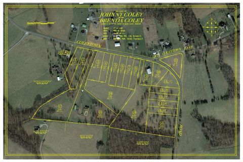 8 Coleytown Rd Lafayette TN 37083