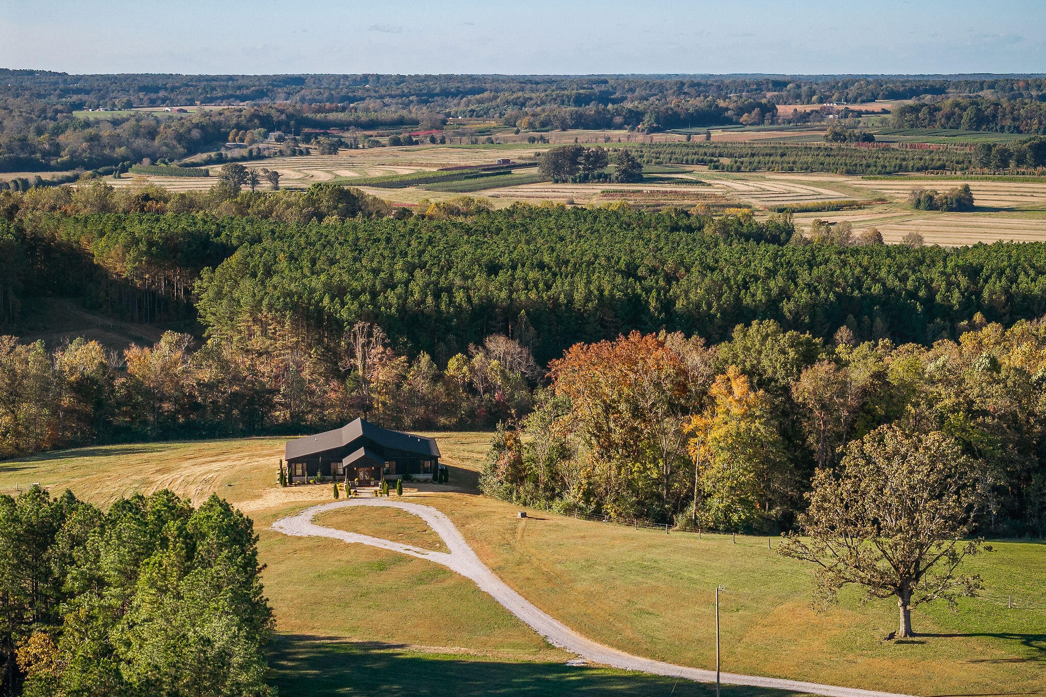 1656 Dibrell Lucky Road