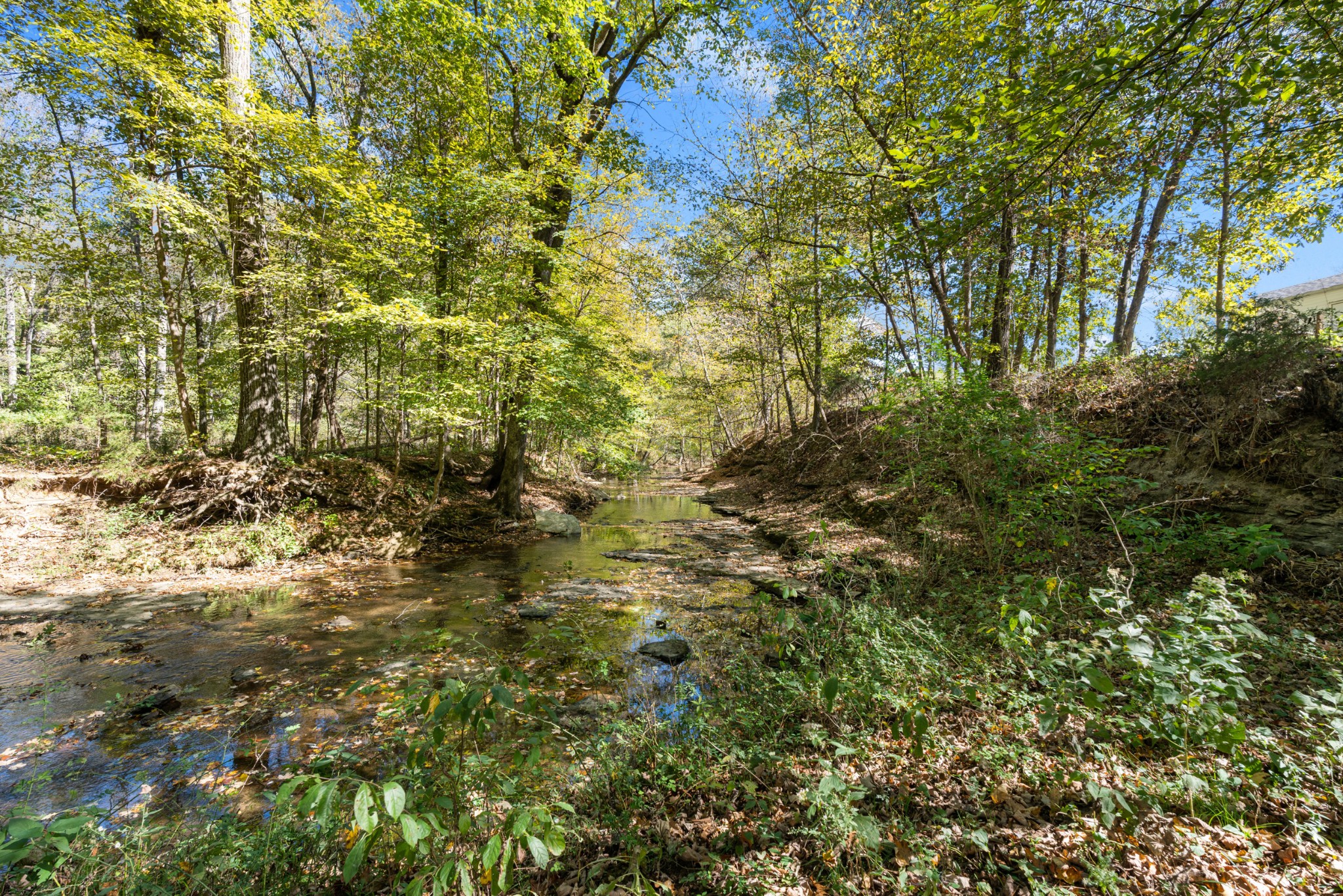 1036 Kaity Brooke Dr