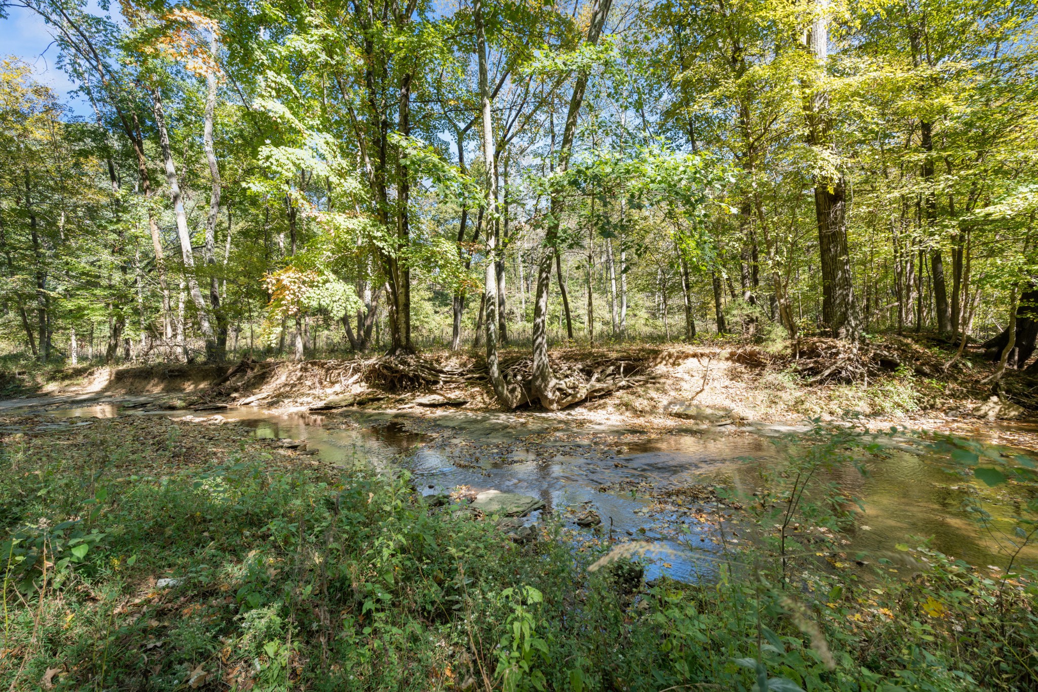 1036 Kaity Brooke Dr