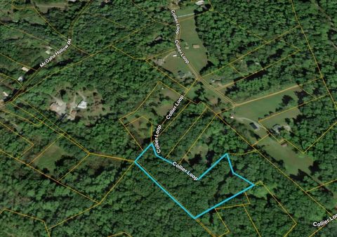 1419 Collier Loop Dandridge TN 37725