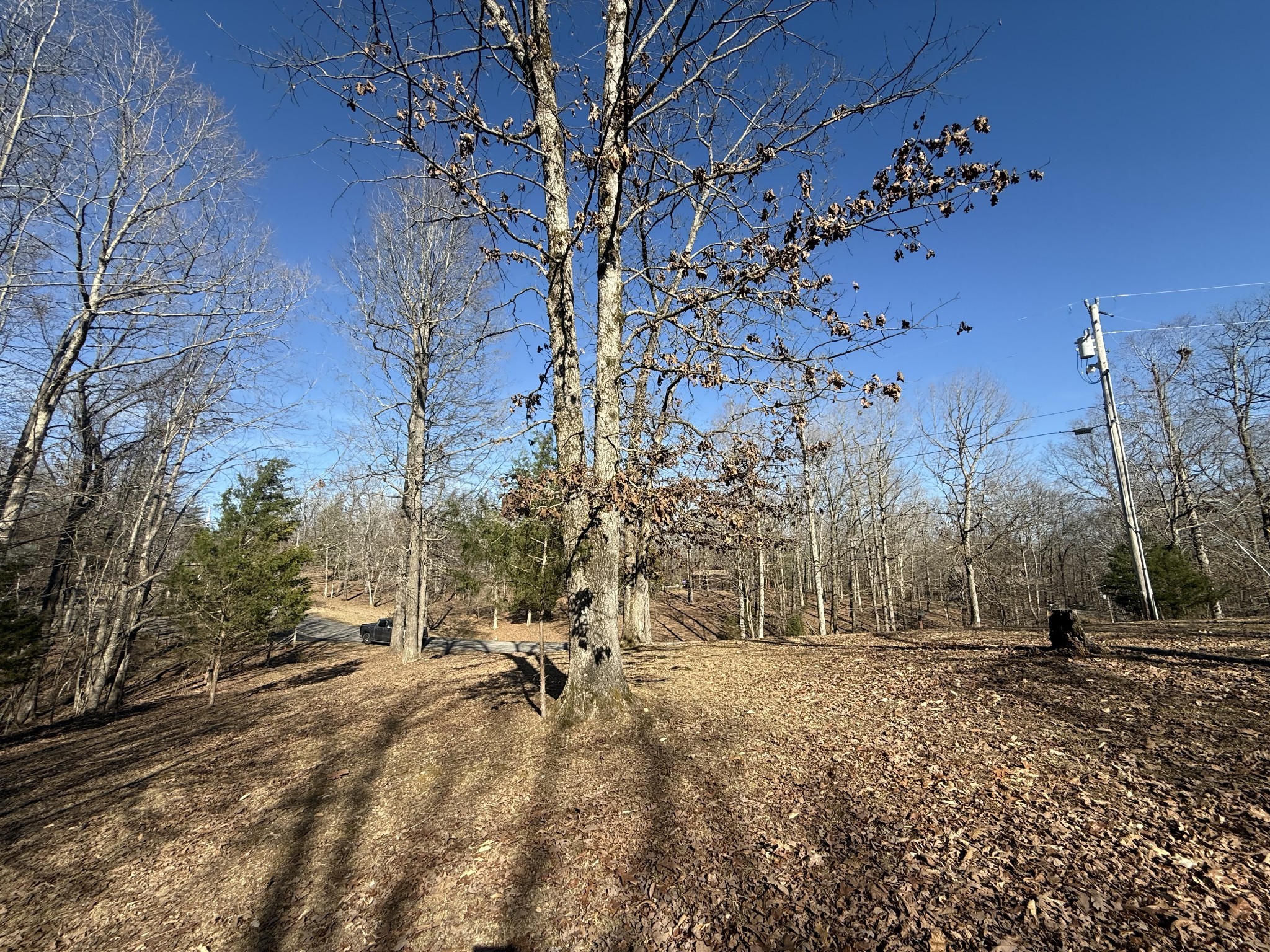 40 Backwoods Estates