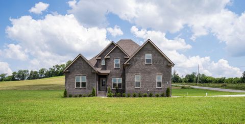 139 Bruce Meadows Dr Beechgrove TN 37018