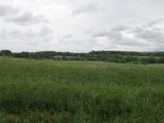 607 Thompson Creek Ln