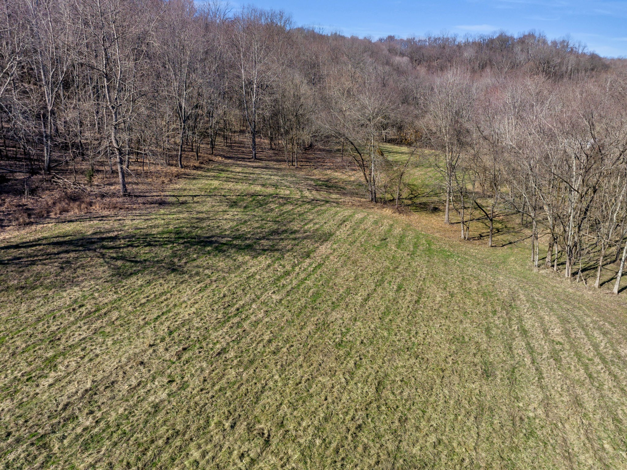 3153 Blazer Rd W