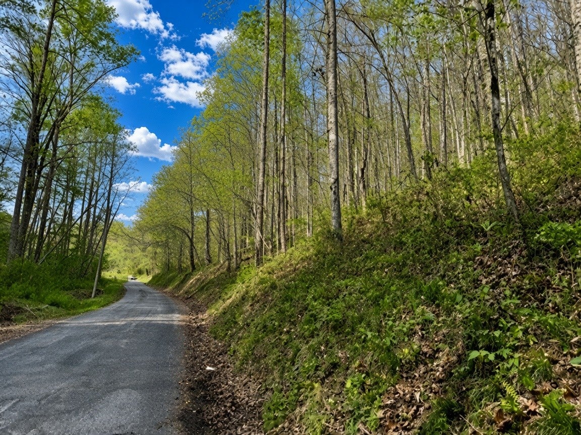 1 Lay Hollow Rd