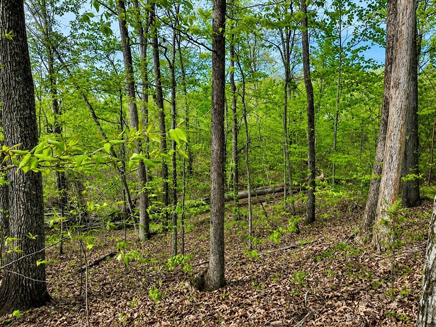 1 Lay Hollow Rd