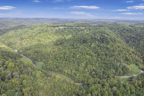 1541 Hogfoot Rd, Liberty, TN 37095 - MLS#: 2704688