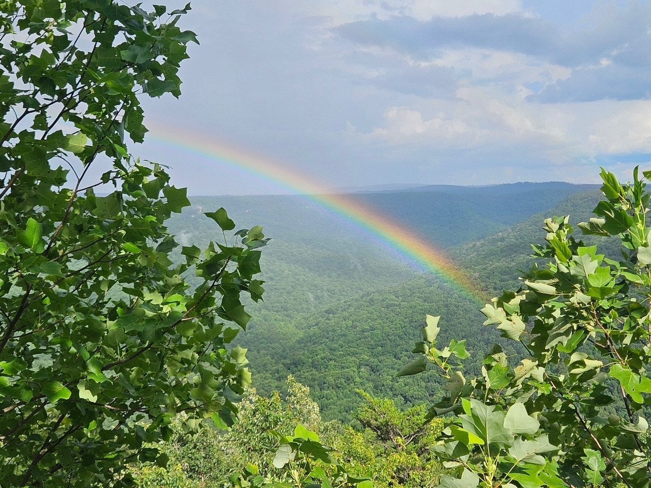 0 Grassy Ridge Rd Lot 3