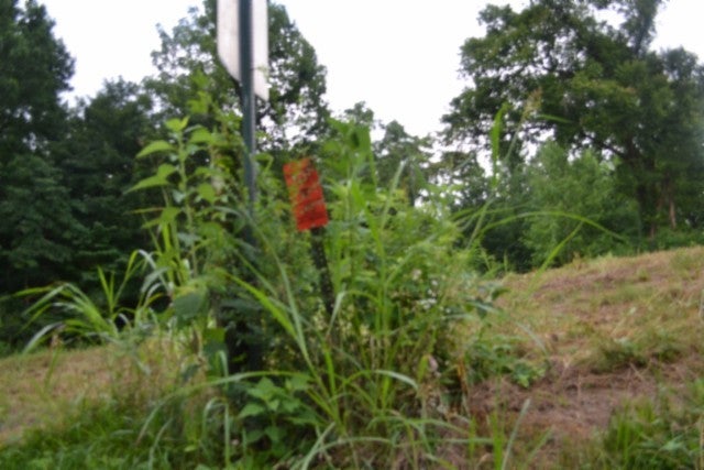 2390 Pea Ridge Fire Town Rd