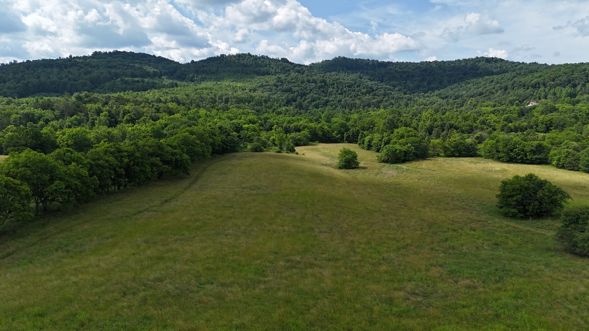 0 Cane Creek Road