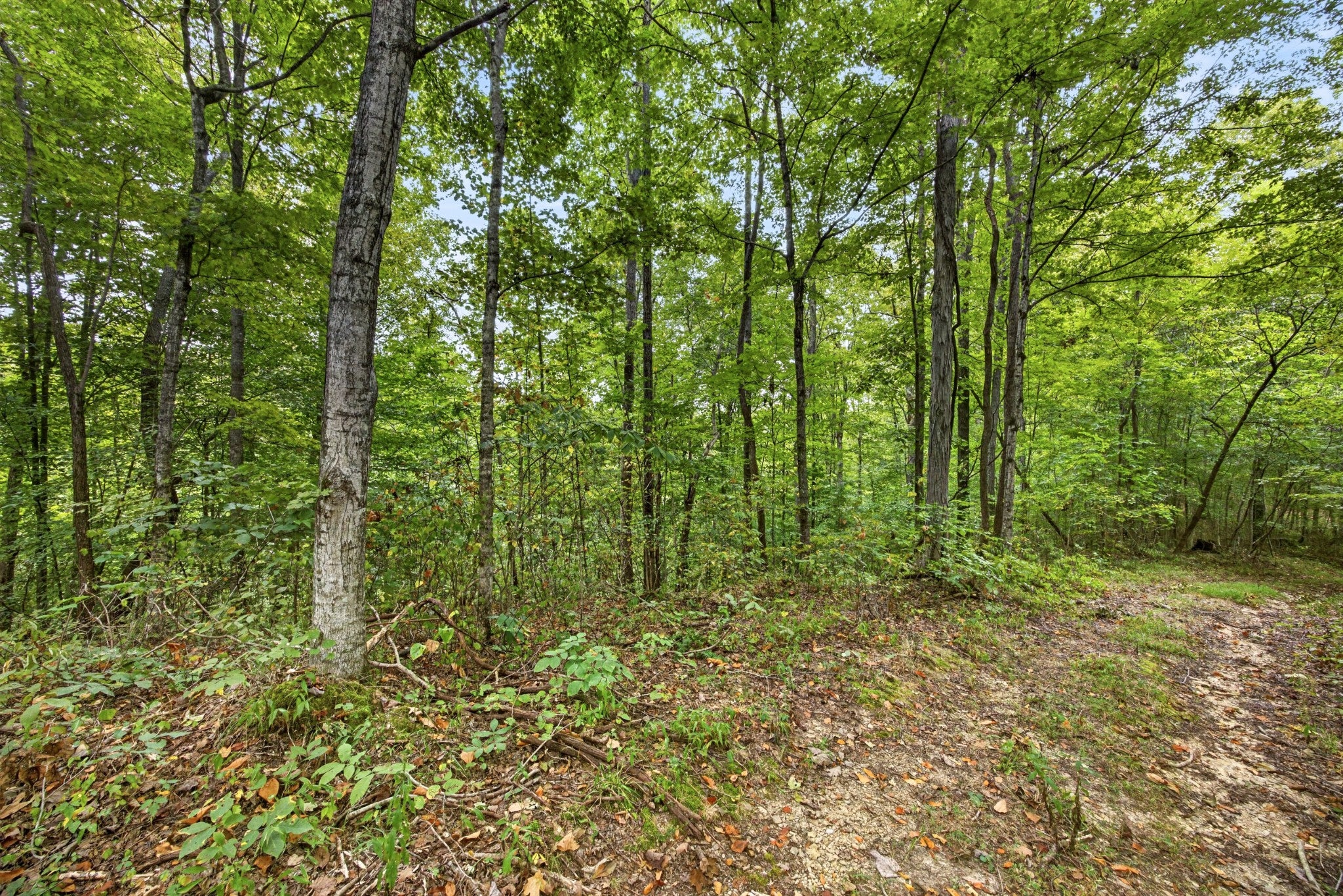 0 Timber Ridge Lane