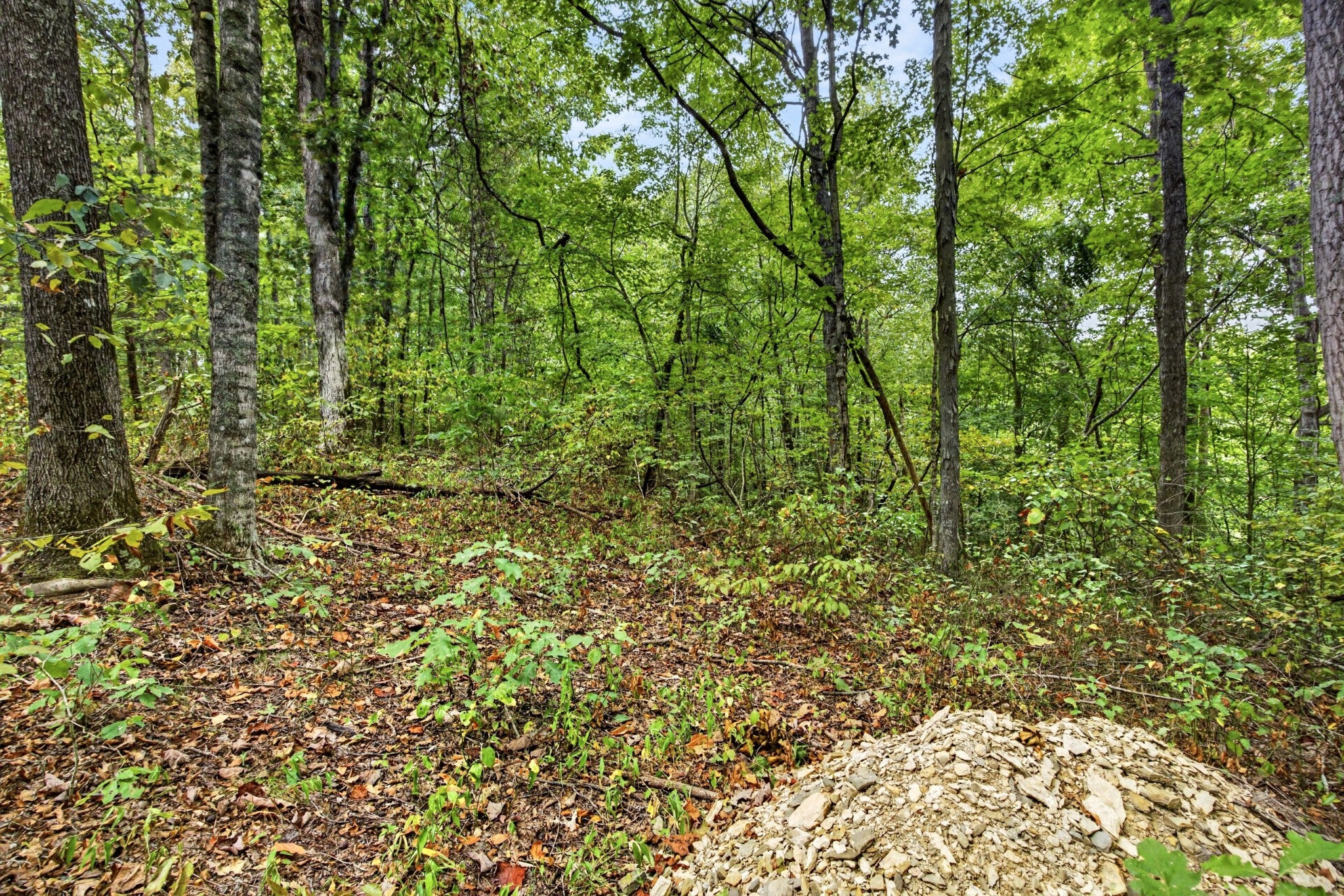 0 Timber Ridge Lane