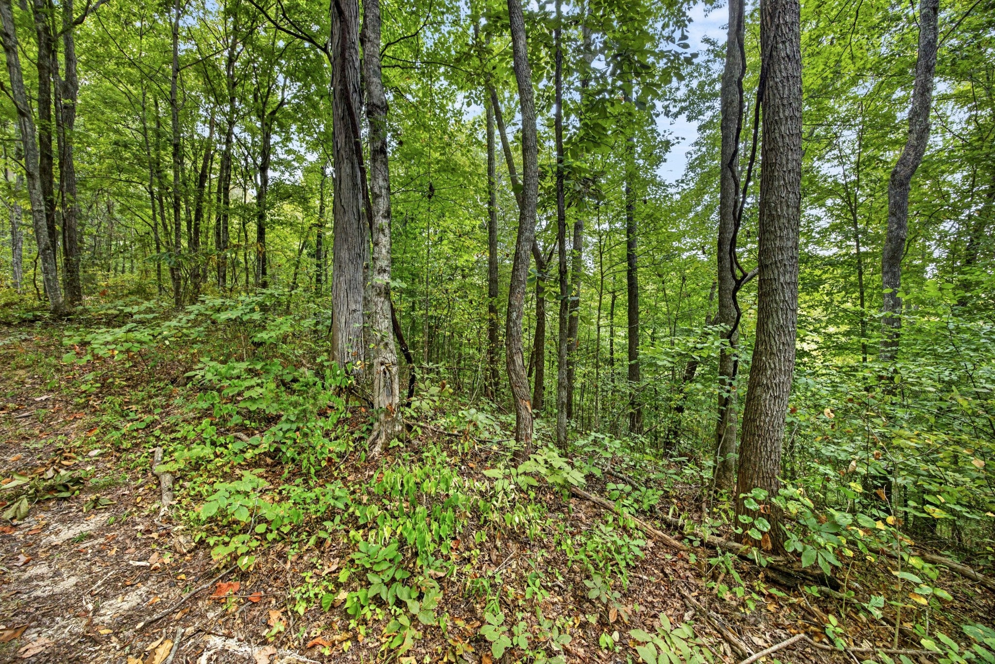 0 Timber Ridge Lane