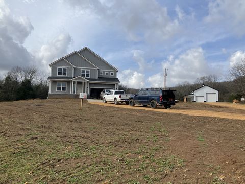 3333 Booker ridge rd Mount Pleasant TN 38474