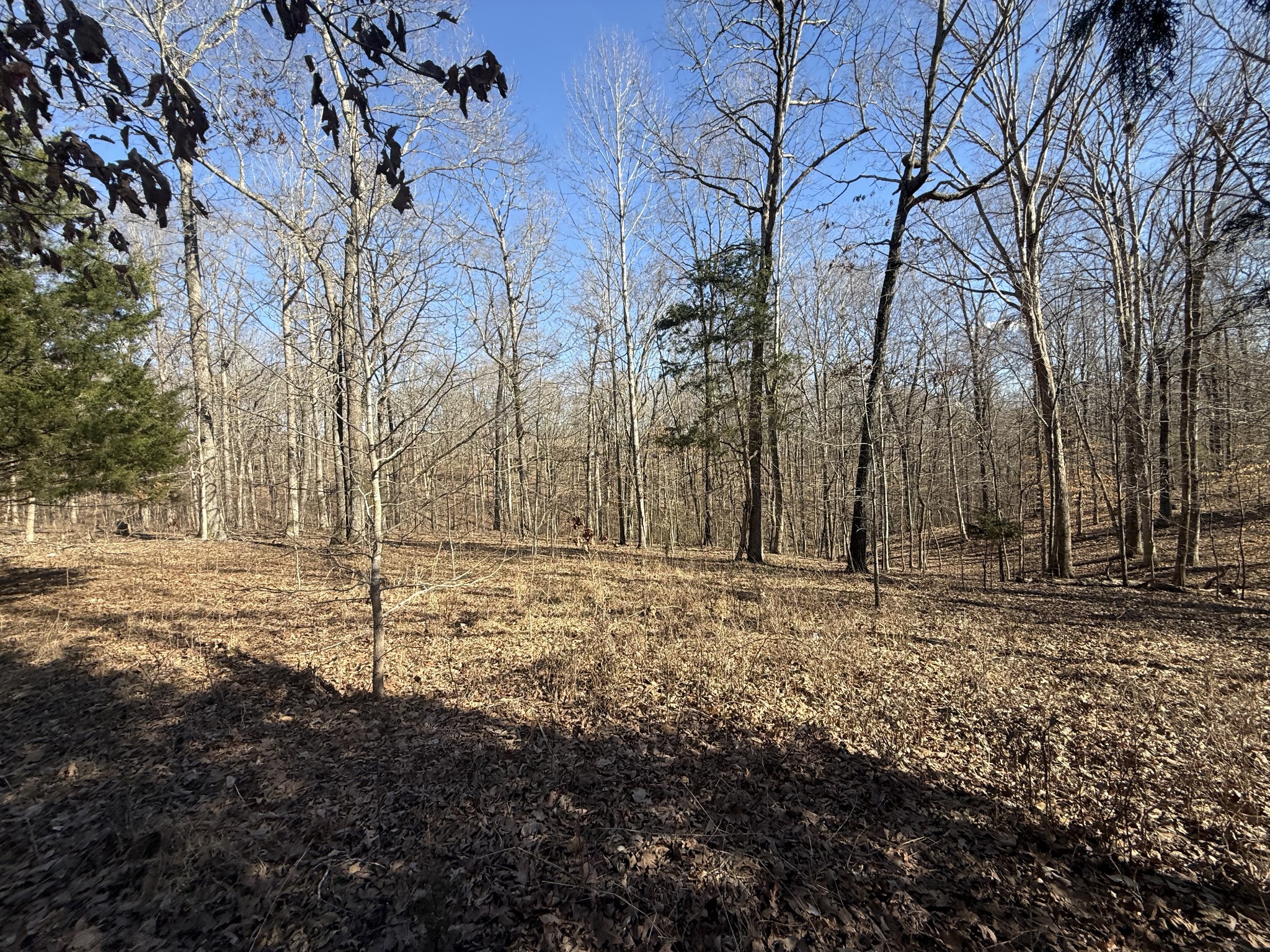 55 Backwoods Estates