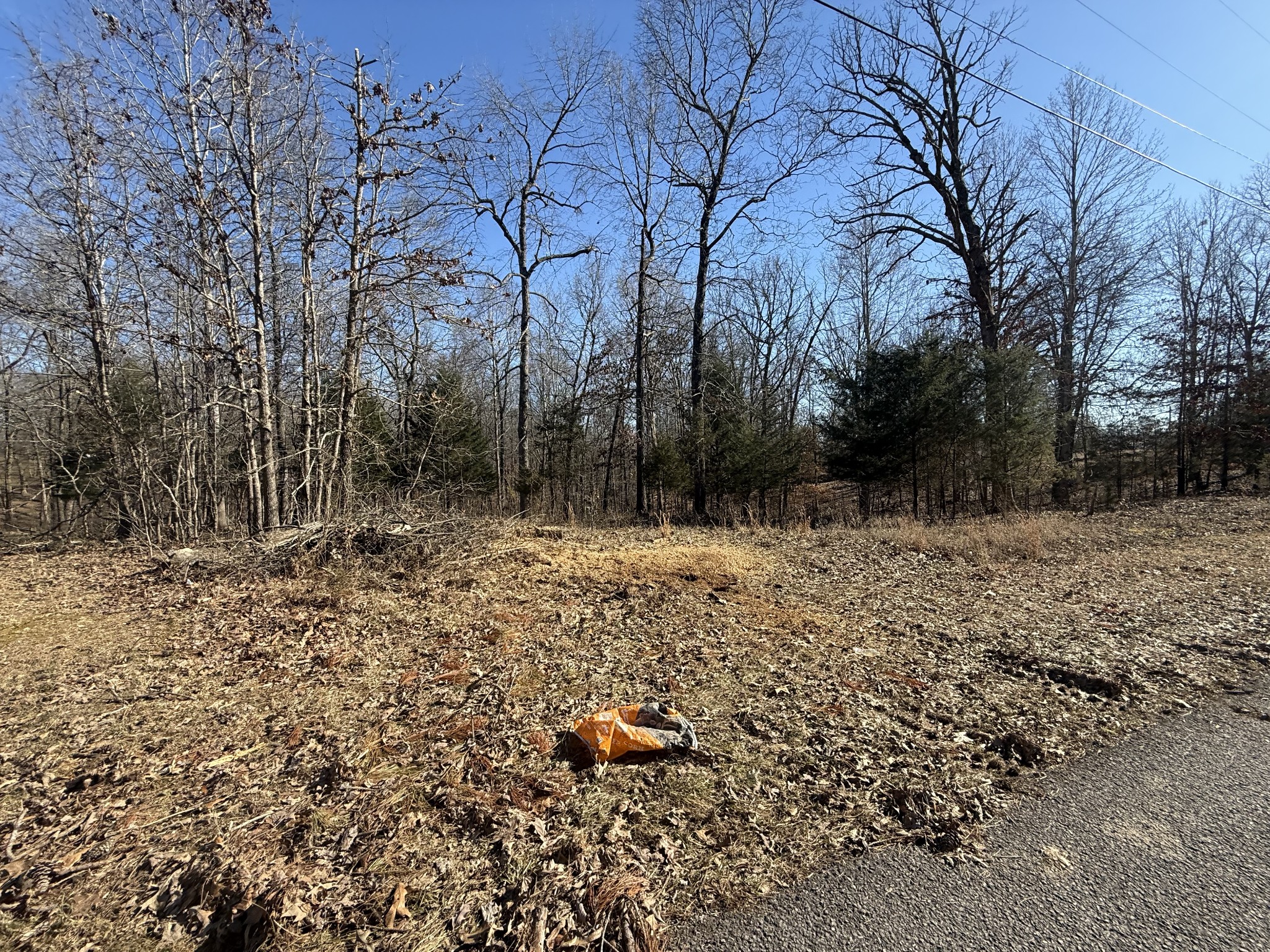 55 Backwoods Estates