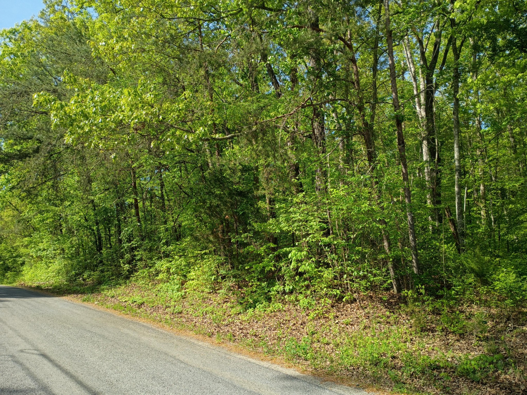 44 County Road 219