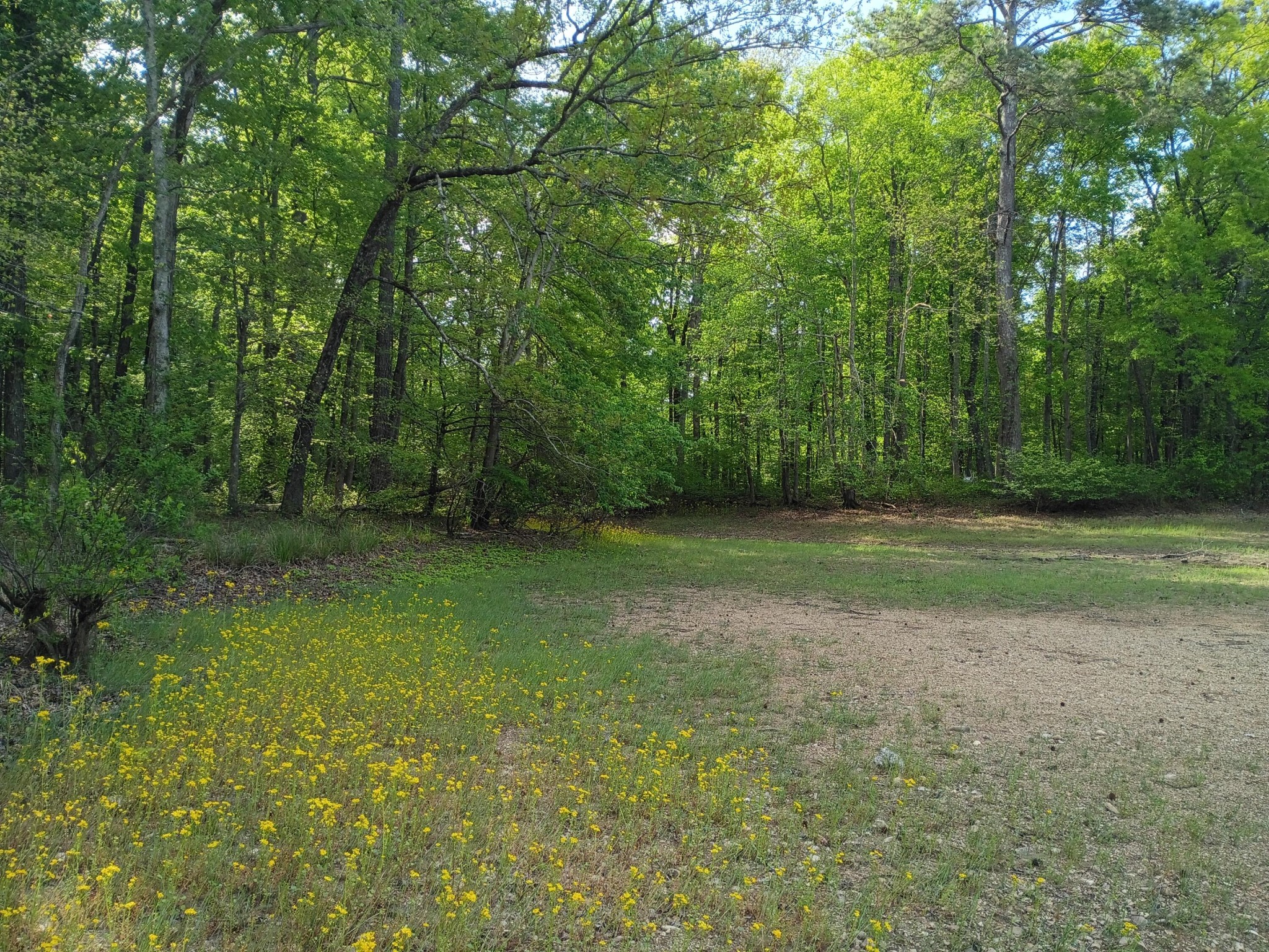 44 County Road 219