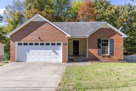 356 Andrew Dr Clarksville TN 37042