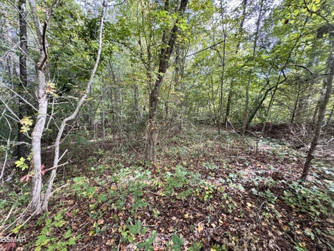 Featured picture for the property 3295571