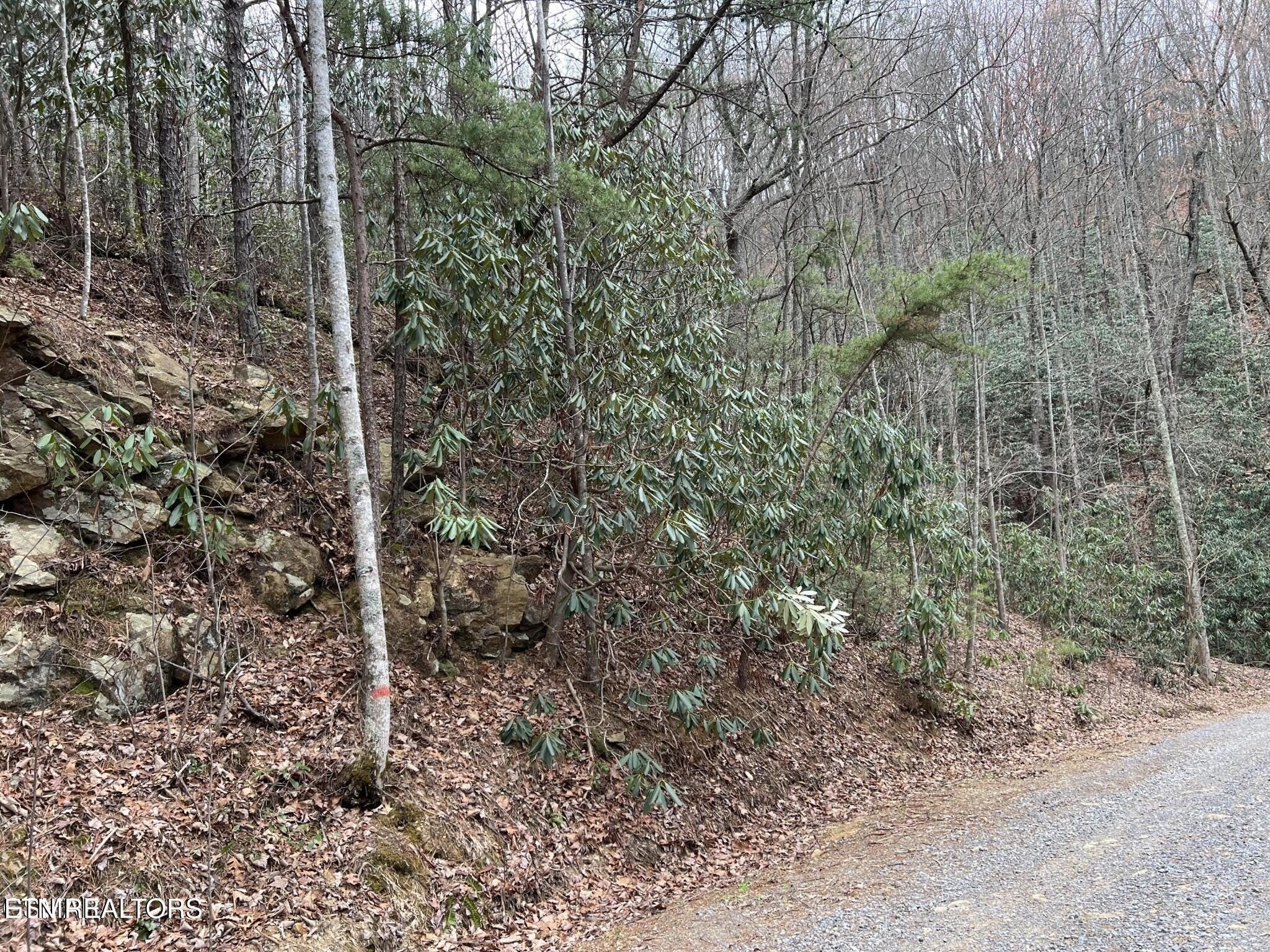 120 John Sevier Drive